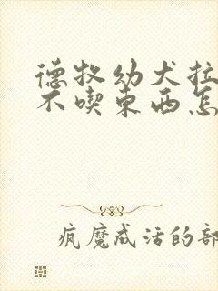 德牧幼犬拉肚子不吃东西怎么办