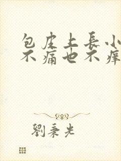 包皮上长小肉粒不痛也不痒封面