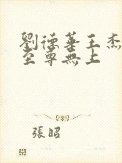 刘德华王杰电影至尊无上