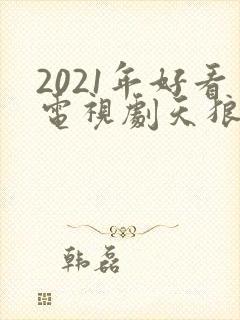 2021年好看电视剧天狼影视
