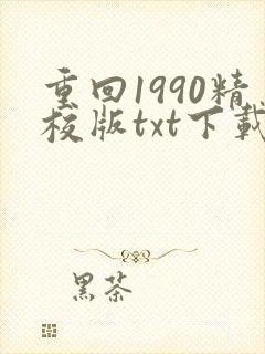 重回1990精校版txt下载封面