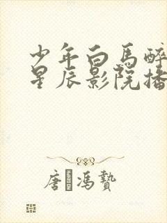 少年白马醉春风星辰影院播放