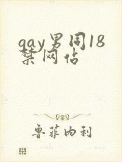 gay男同18禁网站