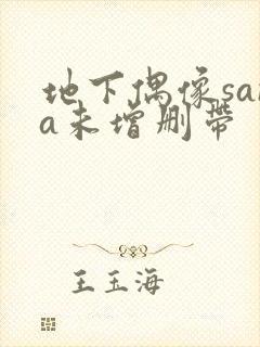 地下偶像sana未增删带