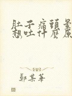 肚子痛头晕恶心想吐什么原因封面