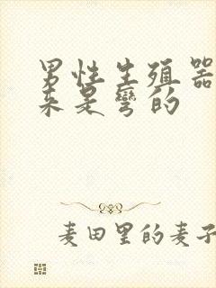 男性生殖器硬起来是弯的封面