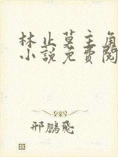 林止莫主角穿越小说免费阅读