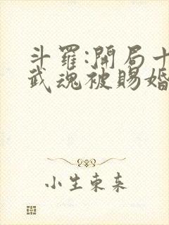 斗罗:开局十生武魂被赐婚千仞雪