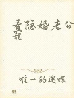 看隐婚老公放肆宠封面