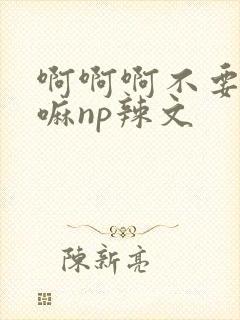 啊啊啊不要不要嘛np辣文