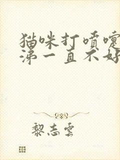 猫咪打喷嚏流鼻涕一直不好怎么办封面