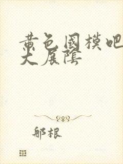 黄色国模吧人体大展阴