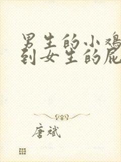 男生的小鸡鸡插到女生的屁股里面