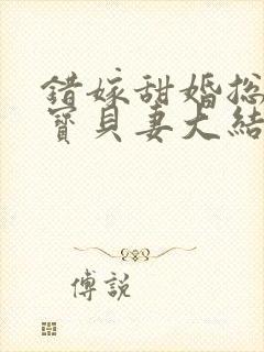 错嫁甜婚总裁的宝贝妻大结局