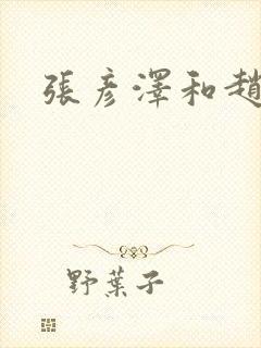 张彦泽和赵匡胤