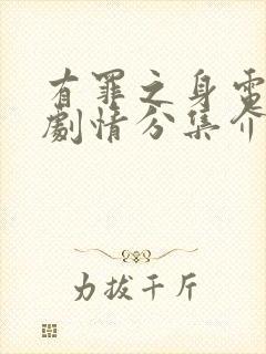 有罪之身电视剧剧情分集介绍封面