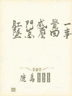 肛门感觉一直下坠怎么回事