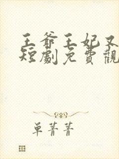 王爷王妃又演上短剧免费观看