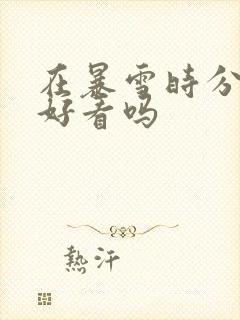 在暴雪时分小说好看吗