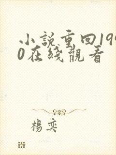 小说重回1990在线观看
