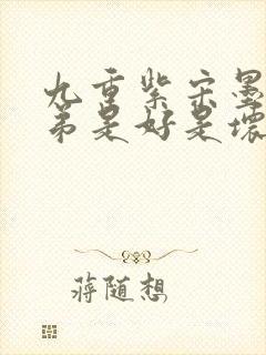 九重紫宋墨的弟弟是好是坏封面