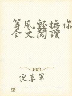 等风轻抚你免费全文阅读