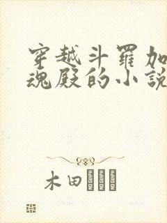 穿越斗罗加入武魂殿的小说有哪些