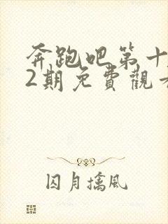 奔跑吧第十季12期免费观看完整版封面