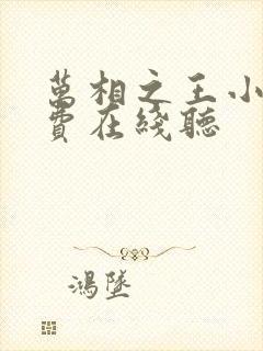 万相之王小说免费在线听