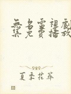 无名电视剧36集免费播放