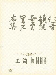 布里奇顿4季全集免费观看封面