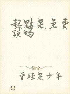 起点是免费的小说吗