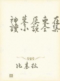 神墓辰东在线阅读小说全集免费