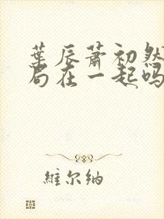 叶辰萧初然大结局在一起吗