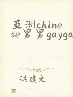 亚洲chinese男男gaygay网站