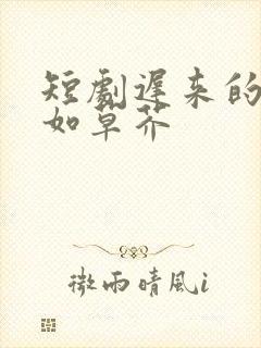 短剧迟来的深情如草芥