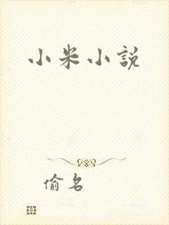 小米小说