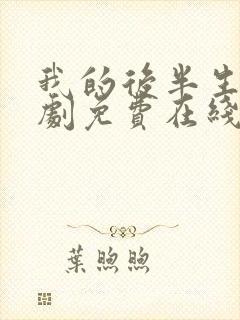 我的后半生电视剧免费在线看