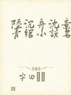 陆沉舟沈意欢林青绾小说名字叫什么