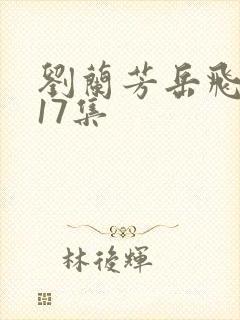 刘兰芳岳飞传117集