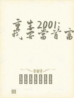 重生2001:我要当首富