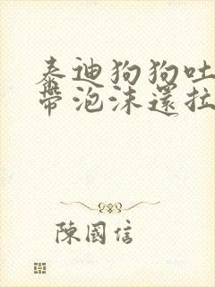 泰迪狗狗吐黄水带泡沫还拉稀