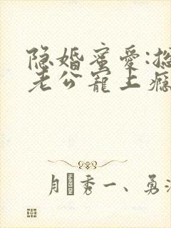 隐婚蜜爱:总裁老公宠上瘾封面