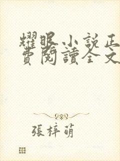 耀眼小说正版免费阅读全文
