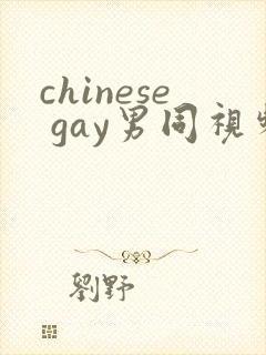 chinese gay男同视频