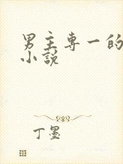 男主专一的玄幻小说