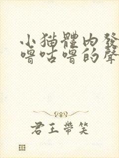 小猫体内发出咕噜咕噜的声音