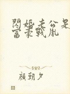 闪婚老公是千亿富豪战胤