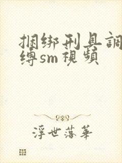 捆绑刑具调教束缚sm视频