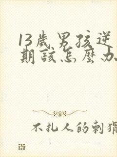 13岁男孩逆反期该怎么办